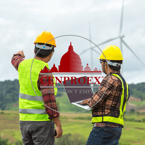 Experto en Energías Solar y Eólica